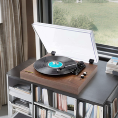 Belt-Driven Turntables: A Gateway to Sonic Splendor